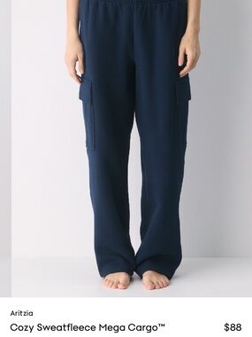 Aritzia Cozy Sweatfleece Mega Cargo Pants